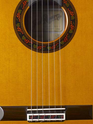 tr-delvino-8.jpg